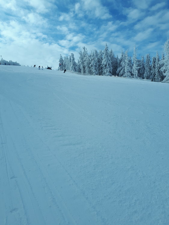 20181216_112135.jpg