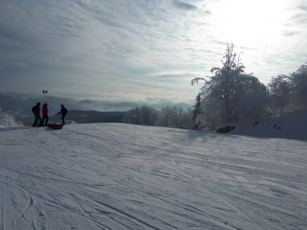 20181216_112520.jpg