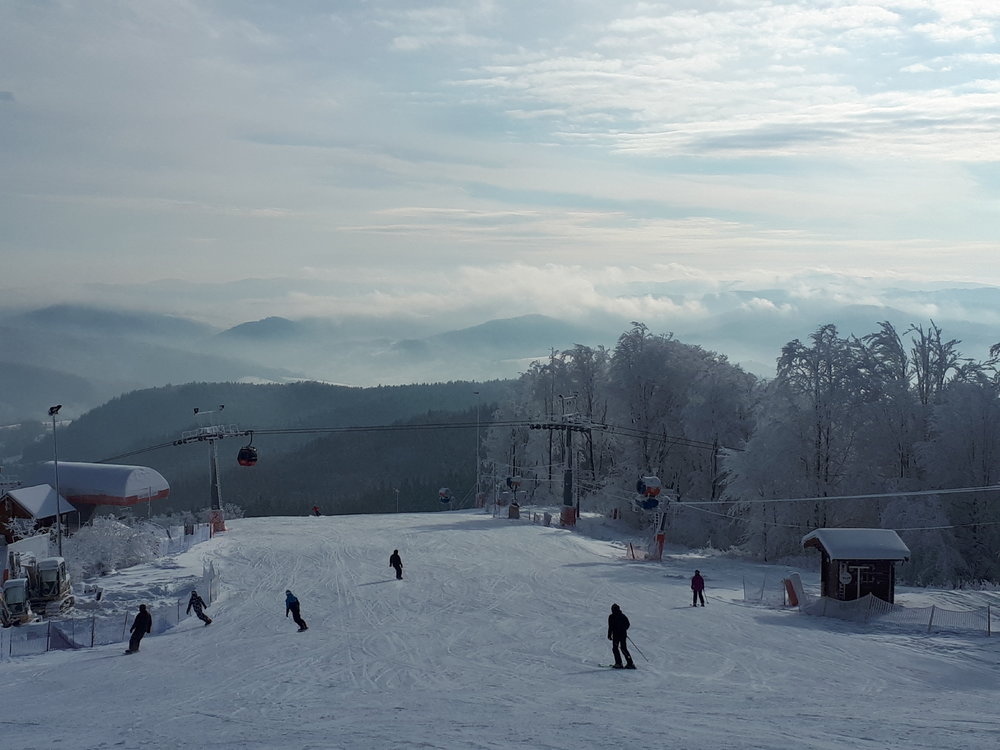 20181216_112746.jpg