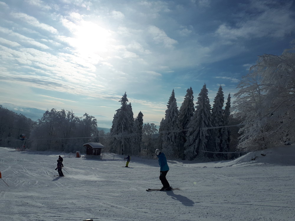 20181216_112918.jpg