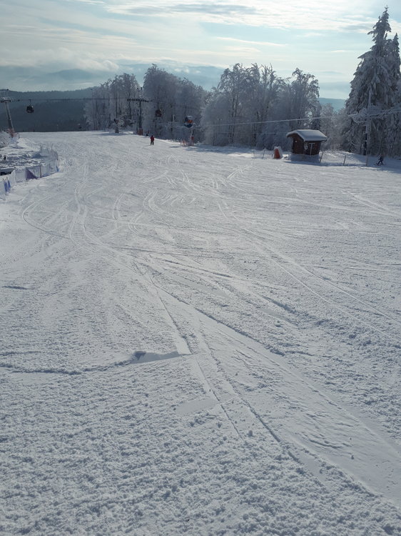 20181216_112943.jpg