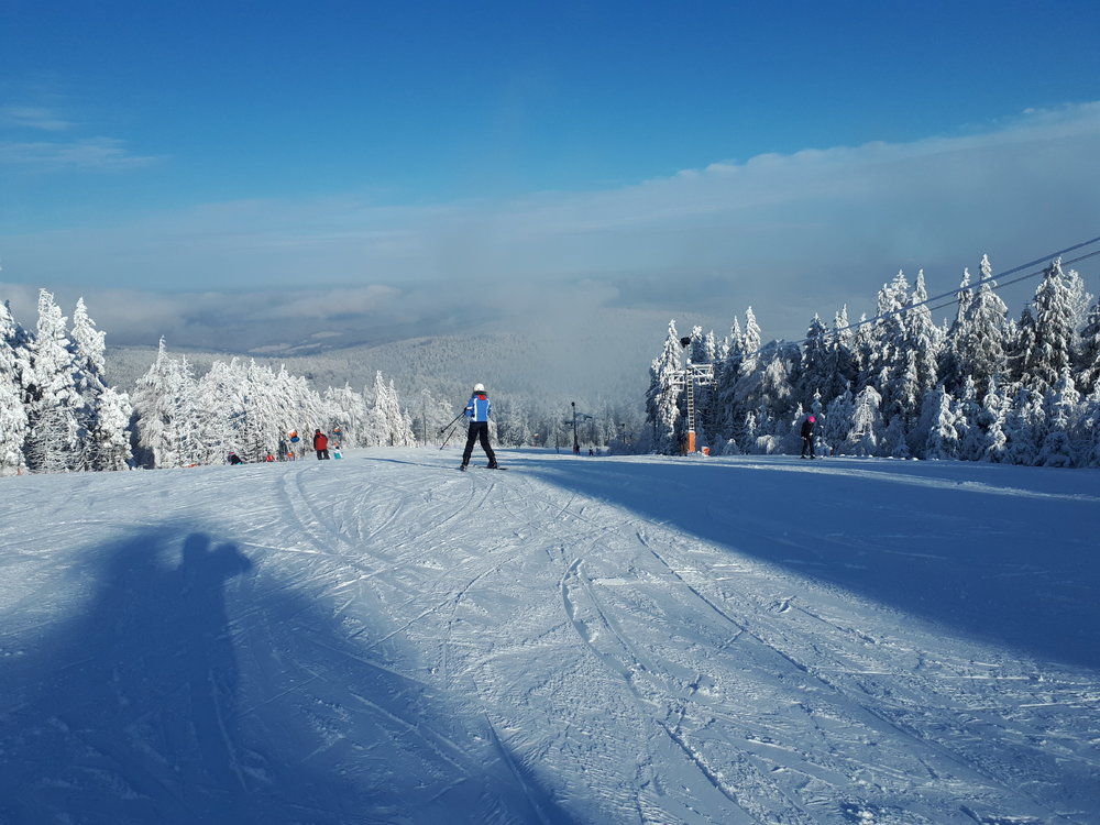 20181216_123716.jpg