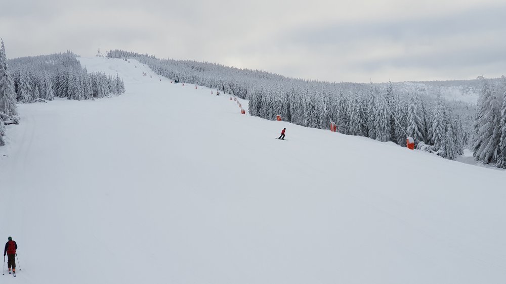 20181218_085031.jpg