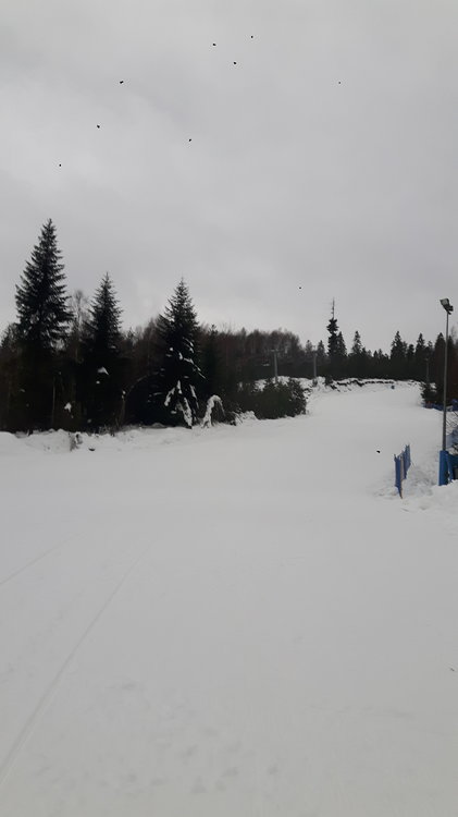 20181222_091838.jpg