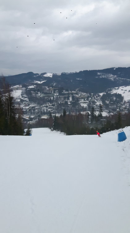 20181222_101256.jpg