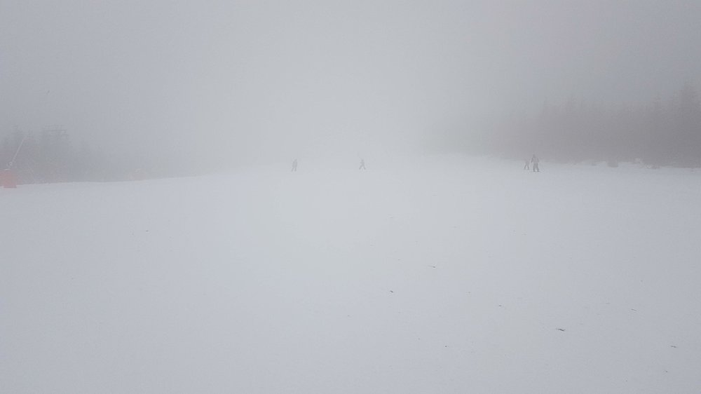 20181222_105225.jpg