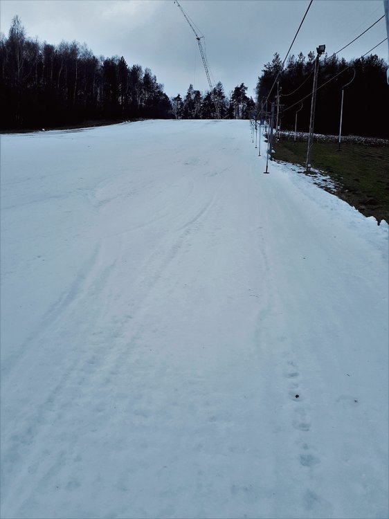 20181223_104019.jpg
