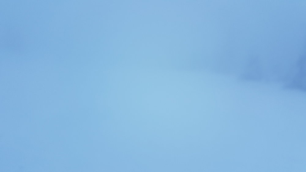 20181228_103300.thumb.jpg.755c1da98e35fcf9cc5798c1238f1462.jpg