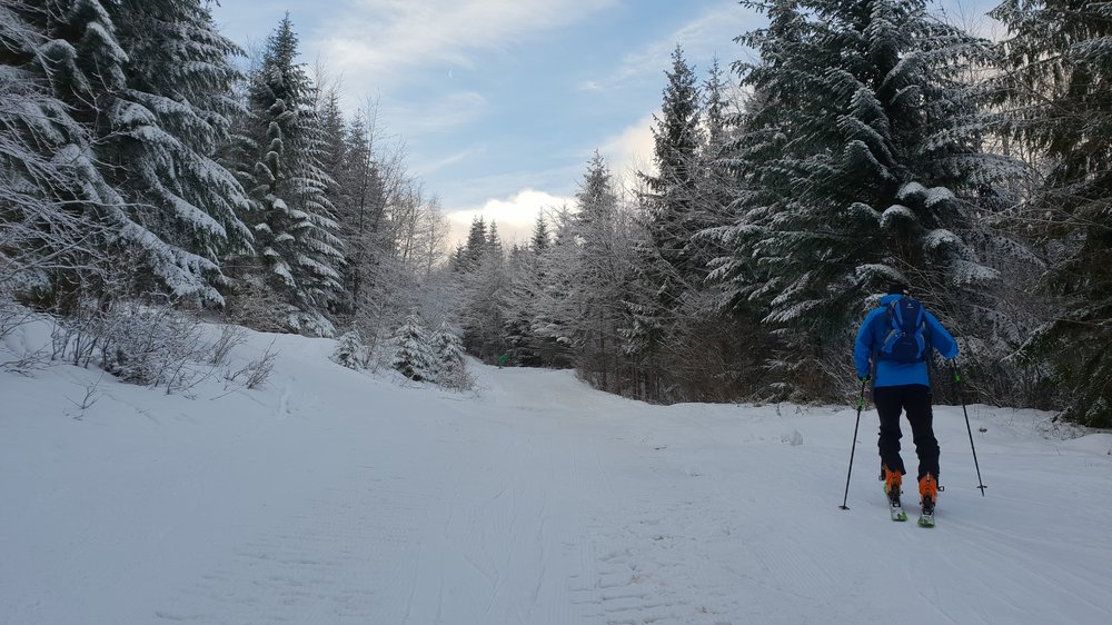 20181230_085815.jpg