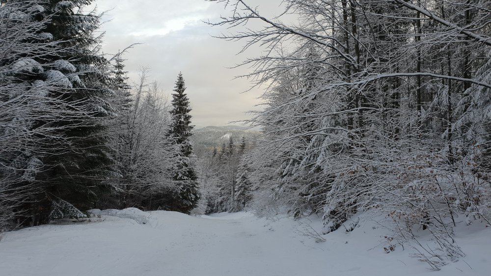20181230_085836.jpg