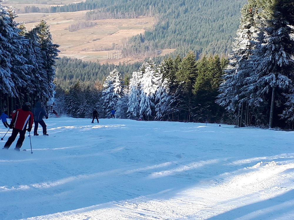 20181202_112746[1].jpg