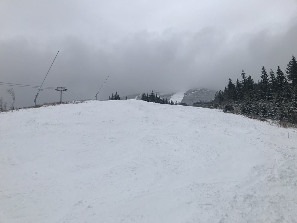4B037354-3E40-4883-9B0C-D60DDA3F8162.jpeg