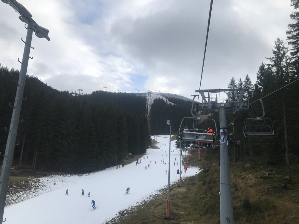 EC299EAA-733F-43E2-8355-FAE5FF55CCFF.jpeg