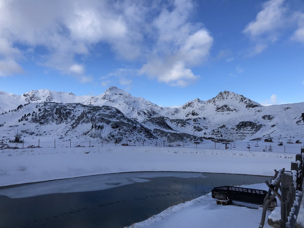 F50606AB-764C-4AD3-B1D0-E64C22F0E761.jpeg