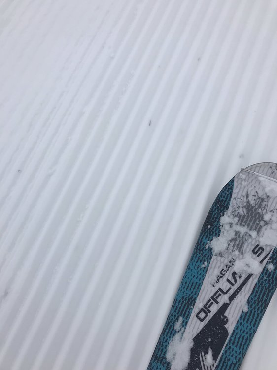 IMG_1386.thumb.jpeg.cea2a613ceccd3933d5ec56cac2274f7.jpeg
