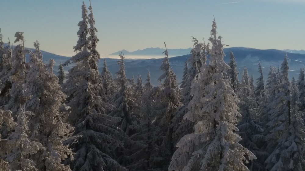 P_20181219_095402_vHDR_On.jpg