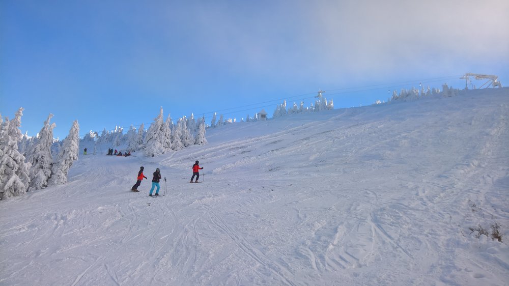 WP_20181216_11_24_49_Rich.jpg