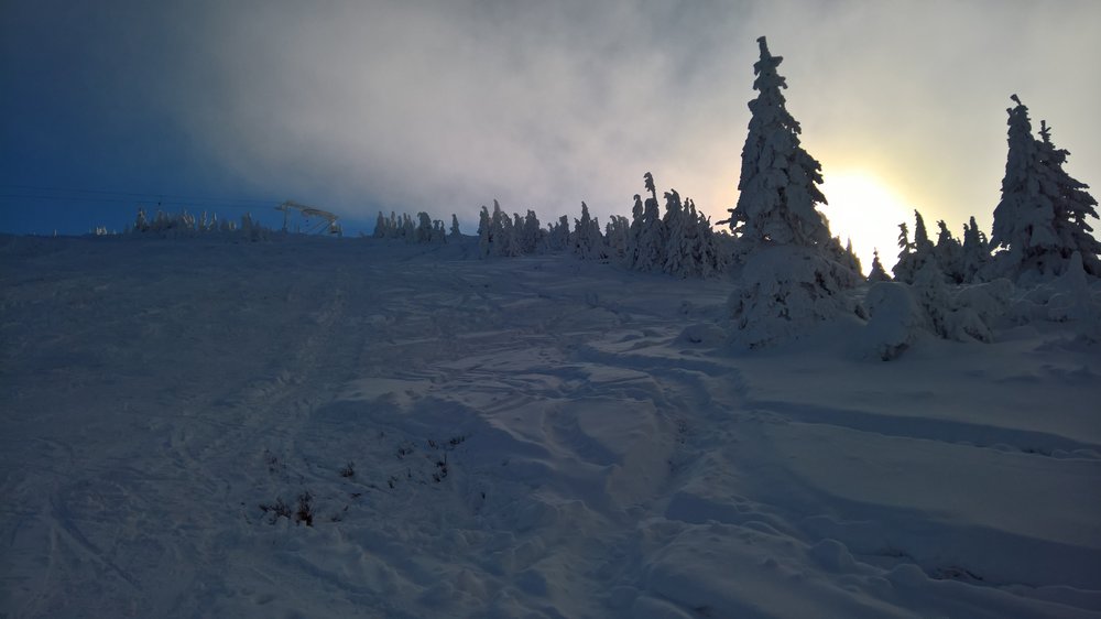WP_20181216_11_24_57_Rich.jpg