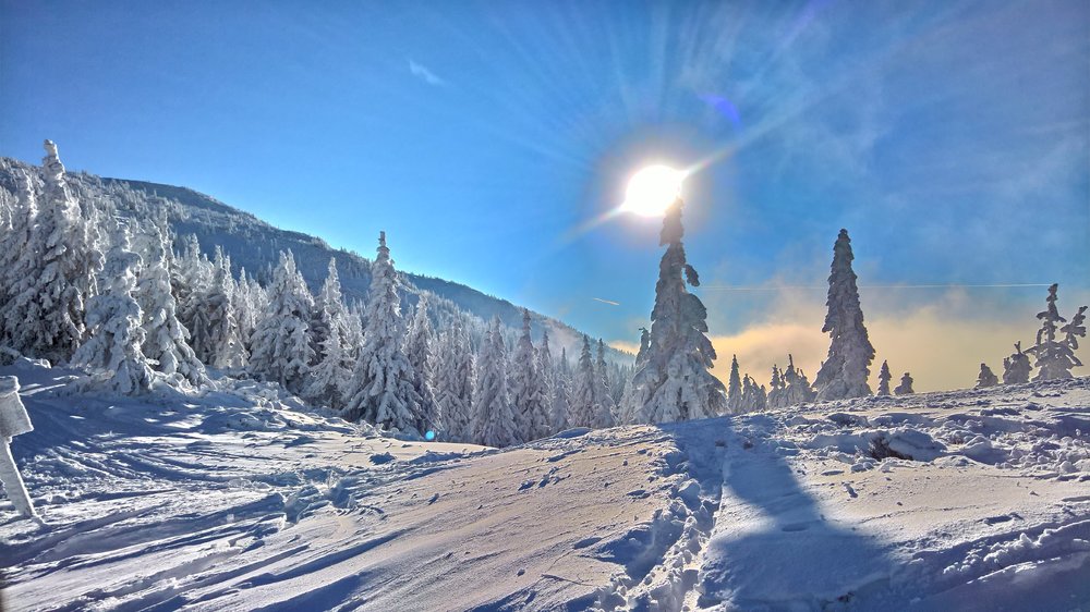 WP_20181216_13_25_06_Rich.jpg