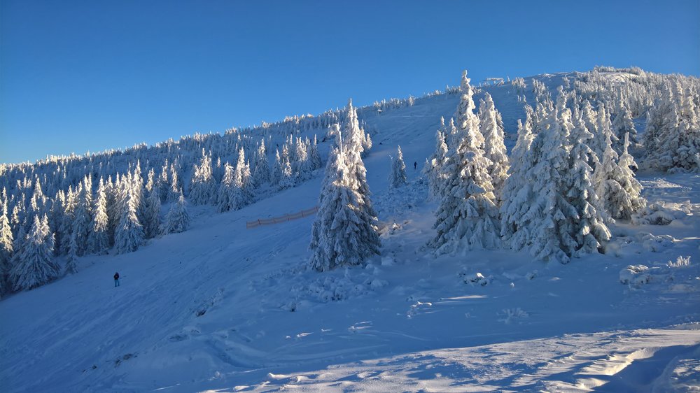 WP_20181216_13_25_24_Rich.jpg