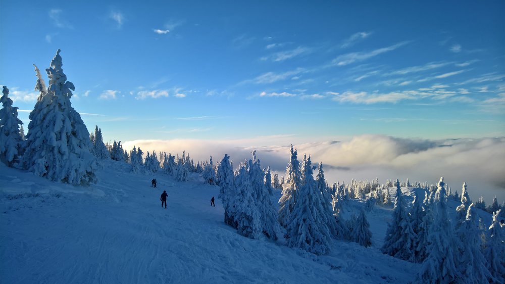 WP_20181216_13_58_40_Rich.jpg