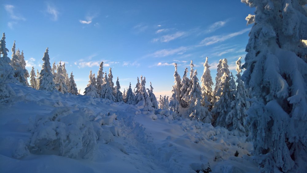 WP_20181216_14_00_39_Rich.jpg