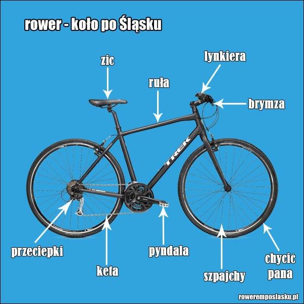 rower.jpg.f696af8fec9ef7b7ff737a2346f4b70d.jpg