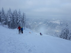 20181216_104647.jpg