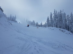 20181216_104651.jpg