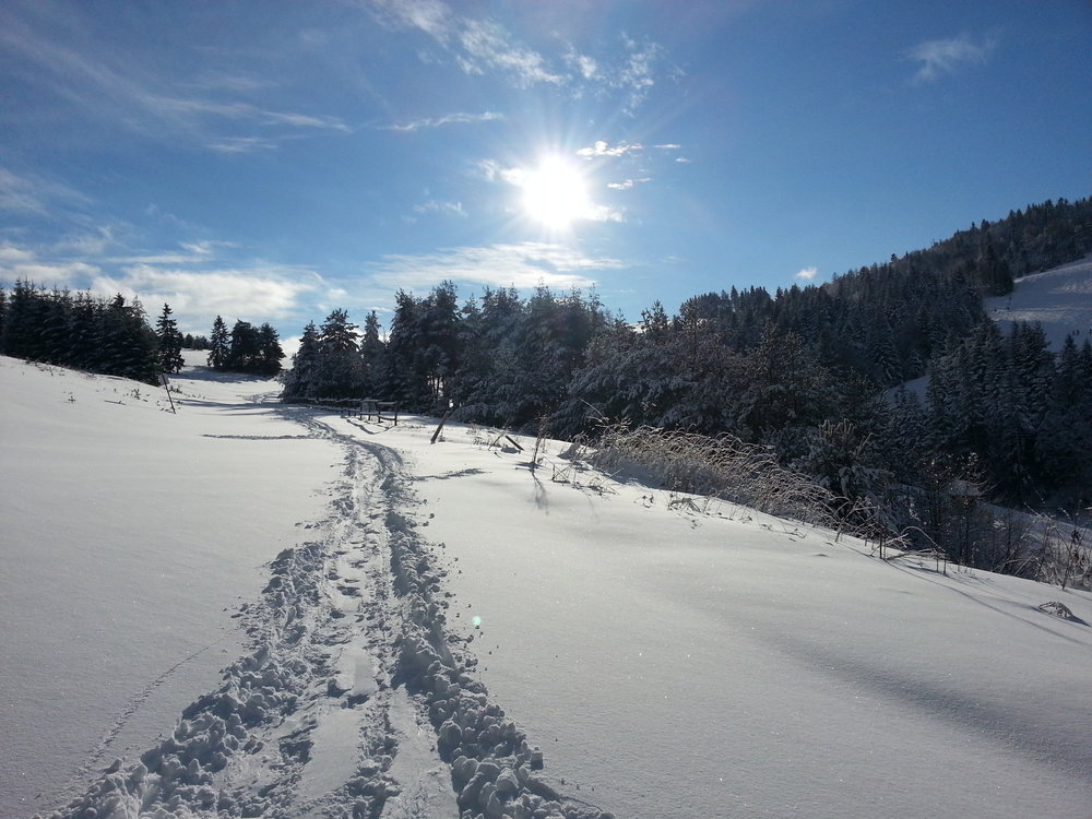 20150131_141621.thumb.jpg.d809313eafcea102ec210c28915d9605.jpg
