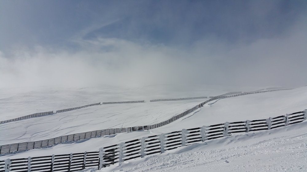 20160218_110237.jpg