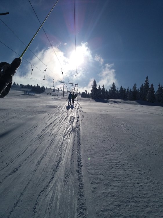 20180225_094222.thumb.jpg.c12b6b08f226e58b9e95a6909817b6cc.jpg
