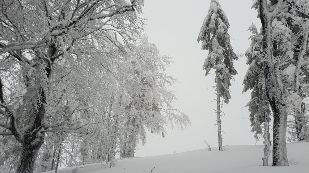 20190103_102800.jpg