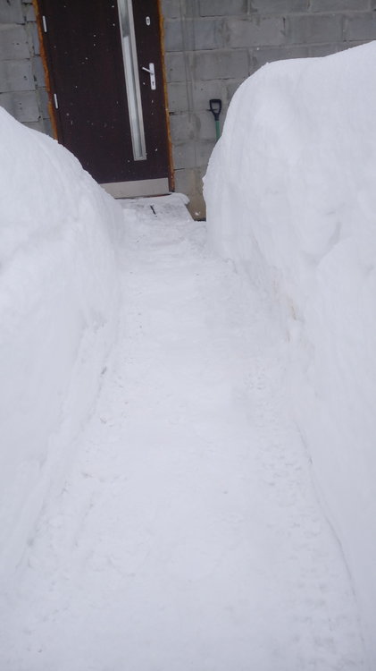 20190106_133650.thumb.jpg.aa761a3d0e8e62f37ddddb4b9d4d331f.jpg