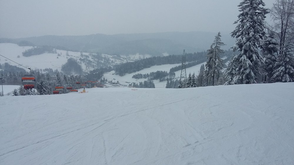 20190109_101358.jpg