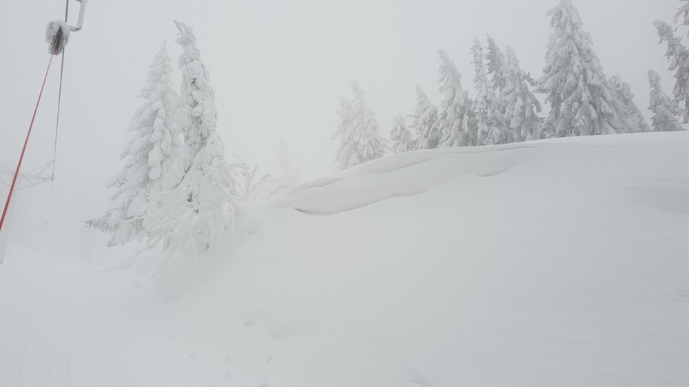 20190112_084412.jpg