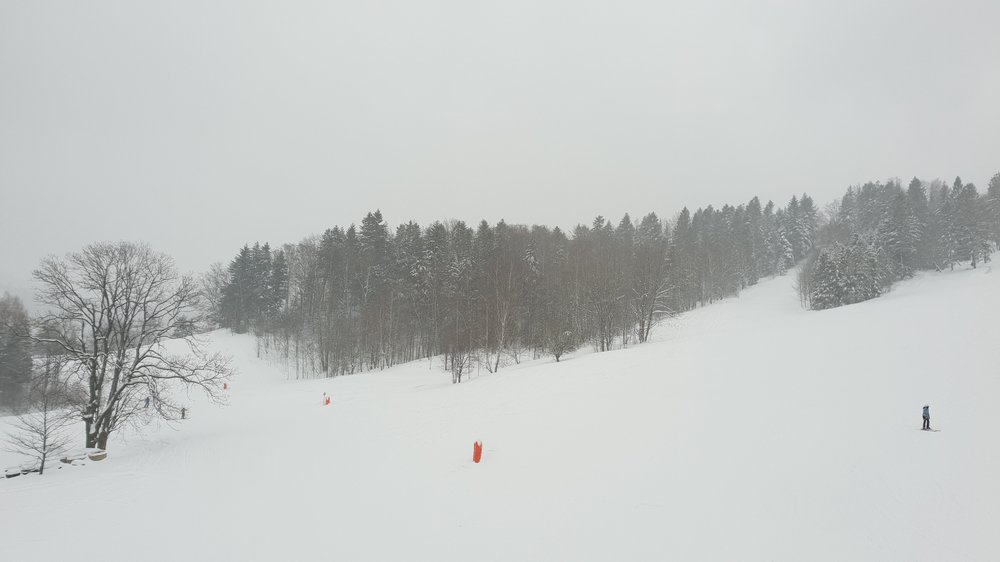 20190112_091756.jpg