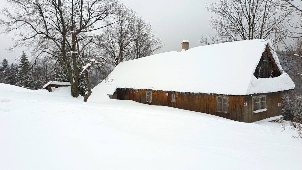20190112_092833.jpg