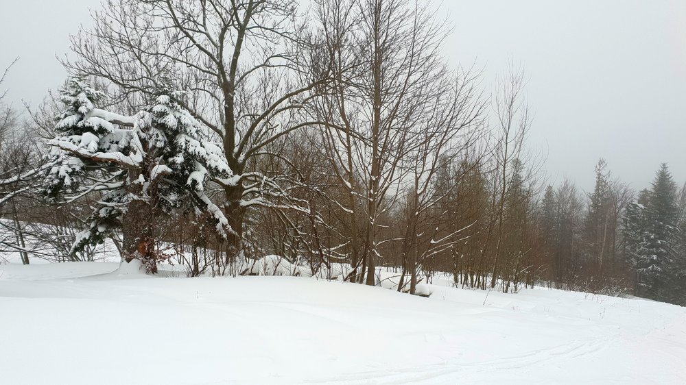 20190112_111721.jpg