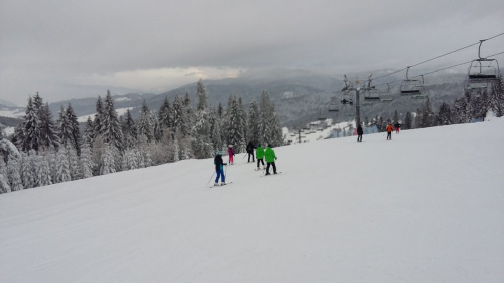 20190113_094506.jpg