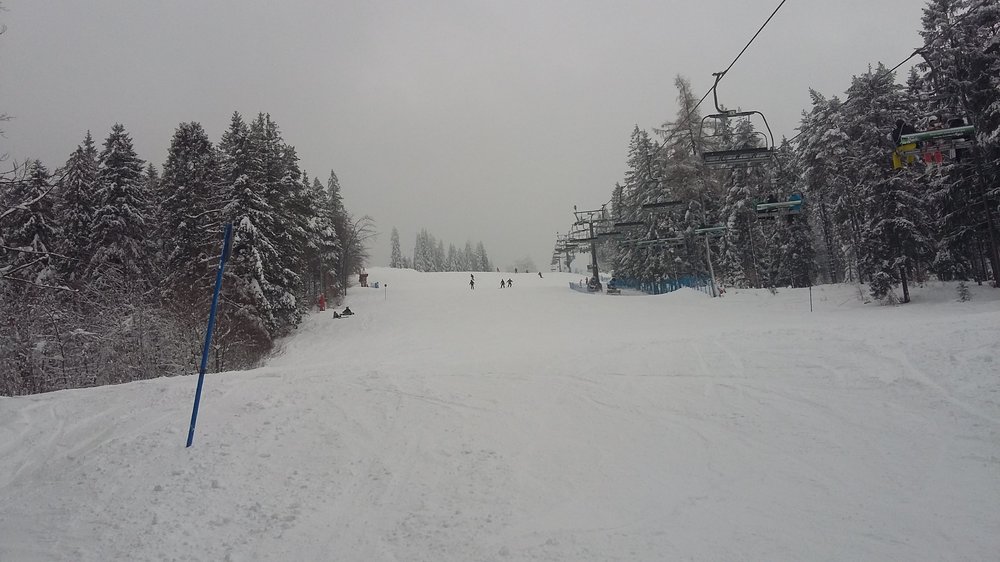 20190113_132513.jpg