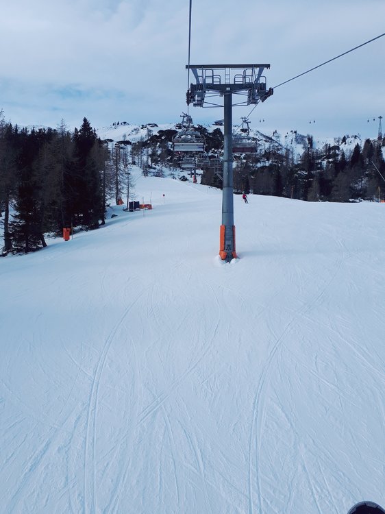 20190116_110452.jpg