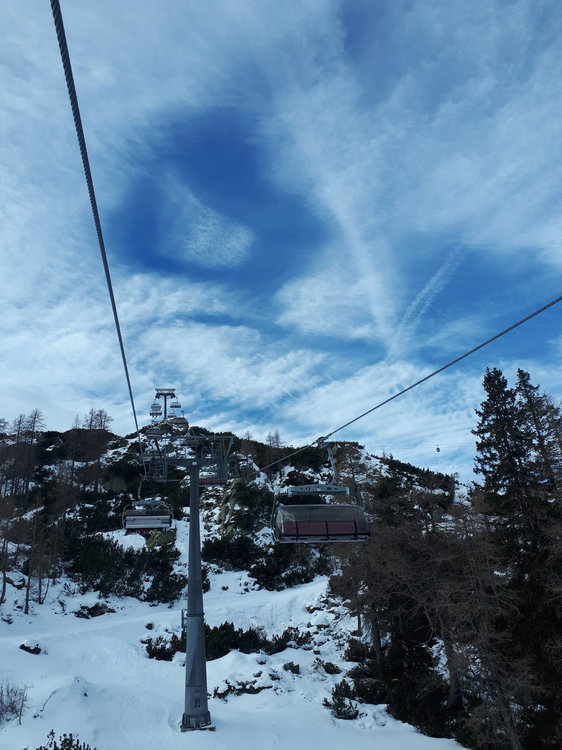 20190116_122448.jpg