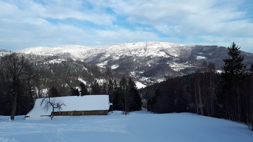 20190117_093014.thumb.jpg.ca30dc02bbfa5aee1e254881c9f100b7.jpg