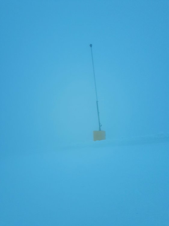 20190117_095354.thumb.jpg.e11ae899d778e0c33f272f710b51f171.jpg