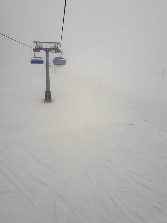 20190117_102921.jpg