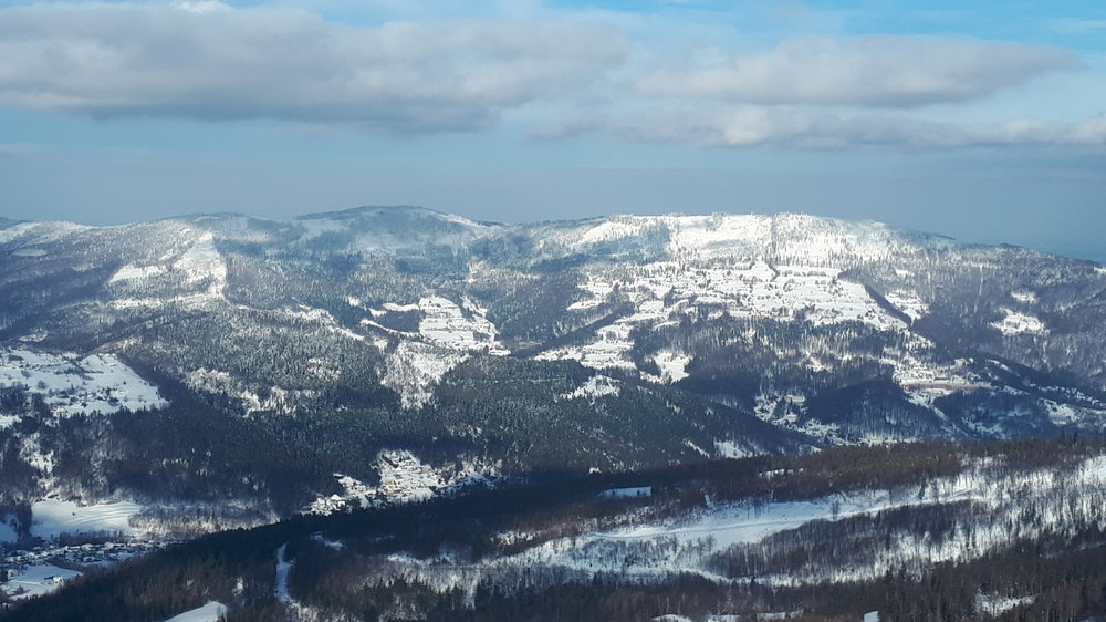 20190117_120318.thumb.jpg.021d194824cf37c4701119737d98b99d.jpg
