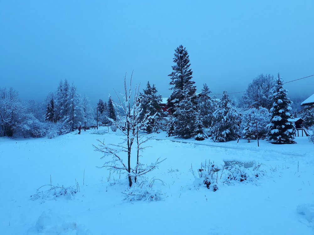 20190118_085932.thumb.jpg.39b1a4f7b34022477f27b5eebecc69c7.jpg