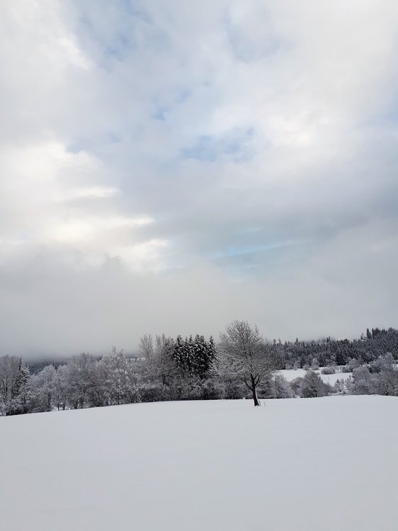 20190118_091220.thumb.jpg.d4ed7caa4676beffd465031dbe765776.jpg