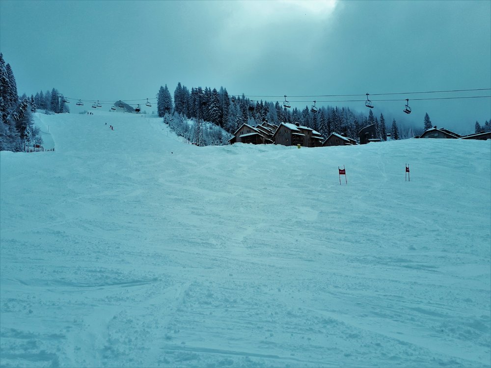 20190118_110911.thumb.jpg.80b742d143213b3d6504df4f5ff2abf0.jpg